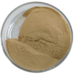 Kava Extract Factory - 10%-70% Kavalactone Root
