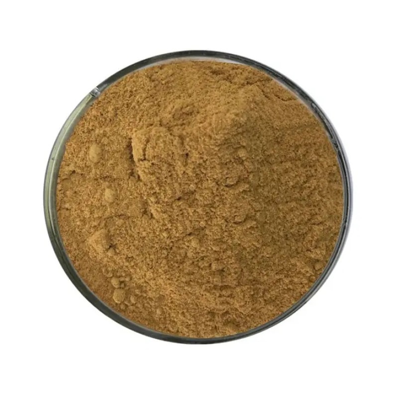 Lions Mane Extract Factory - 50% Polysaccharides Powder