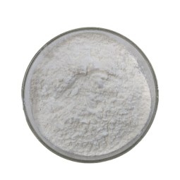 NAD+ Powder Manufacturer - Food Grade 99% Bulk