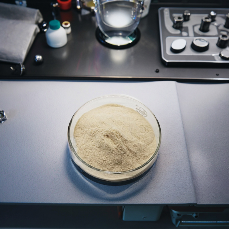 Placenta Powder Manufacturer - Hydrolyzed Protein Freeze