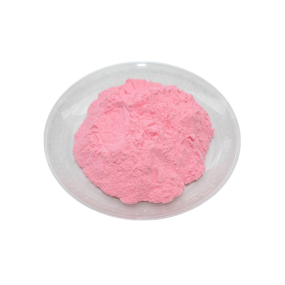 Acerola Extract Supplier - 25% VC Cherry Powder