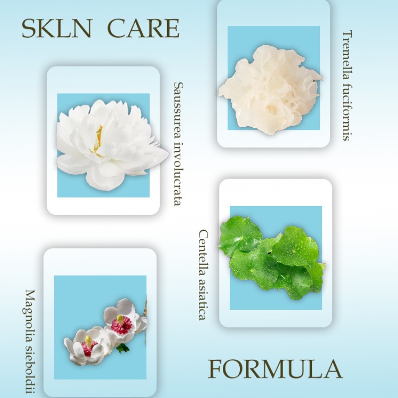 Concealer Manufacturer - Translucent Ceramide Collagen