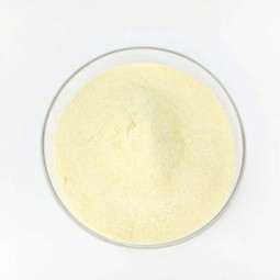 Liposomal Magnesium Powder Supplier - 50% 80% Supplement