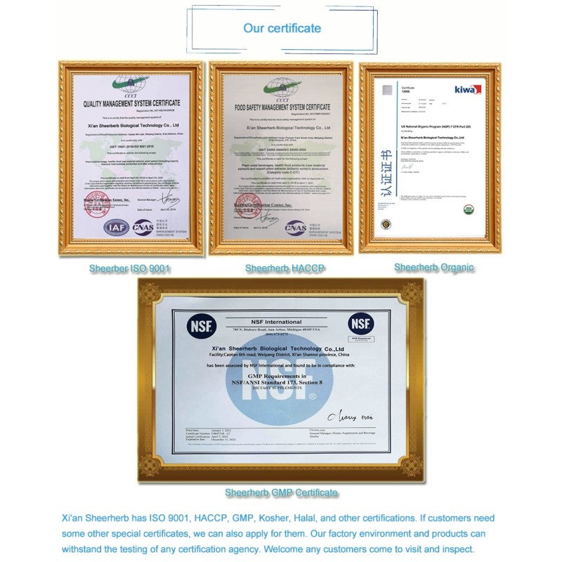 Liposomal PEA Powder Supplier - Ultramicronized 1kg