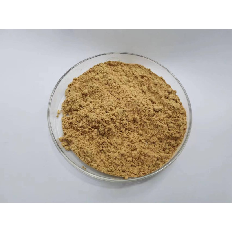 Alpha Amylase Supplier - High Quality Natural