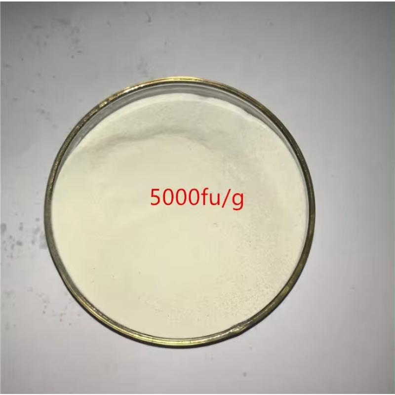 Nattokinase Powder Factory - 20000FU 5000FU Bulk