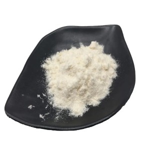 Wheat Germ Extract Supplier - 1% Spermidine Powder