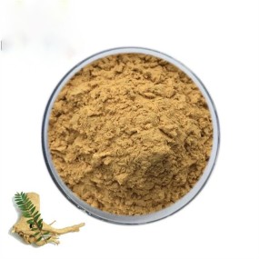 Alpha Amylase Supplier - High Quality Natural