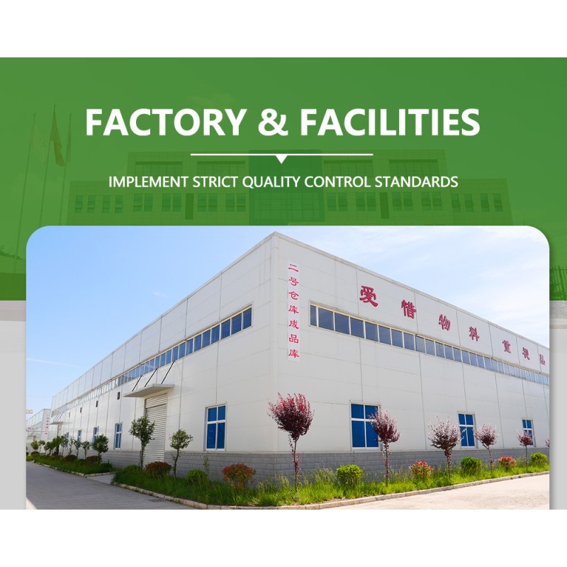 Freeze-dried Mango Powder Factory - High Quality Natural