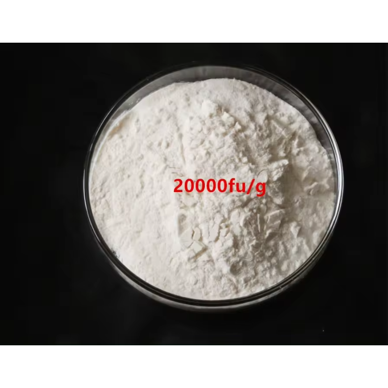 Nattokinase Powder Factory - 20000FU 5000FU Bulk
