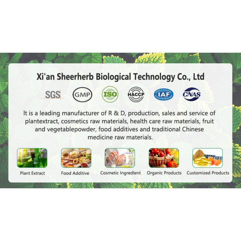 Soy Lecithin Liquid Supplier - High-Fluidity 65% AI