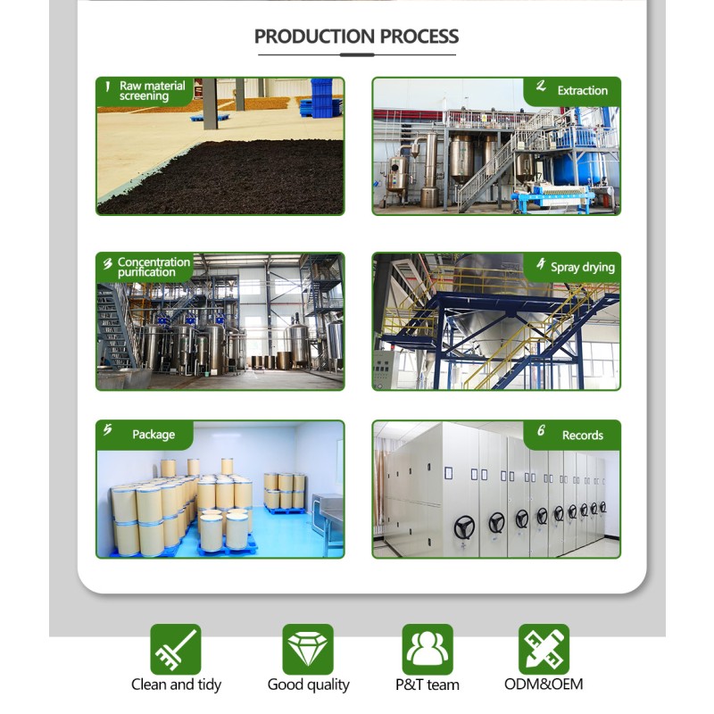 Dog Probiotic Powder Supplier - 20 Billion CFU Freeze Dried