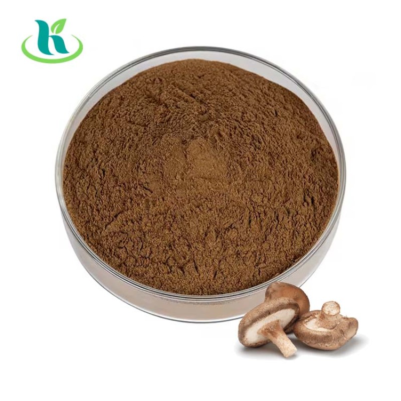 Reishi Mushroom Coffee Supplier - 100% Natural Good Taste
