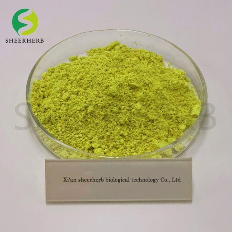 Quercetin Extract Supplier - 98% Sophora Japonica
