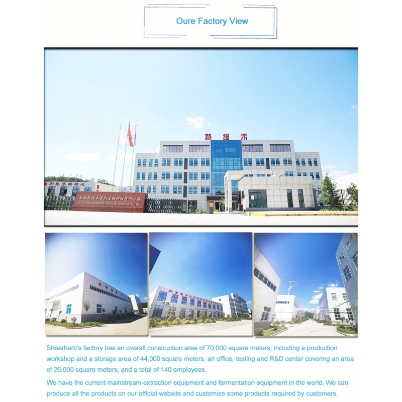 Liposomal Nicotinamide Riboside Factory - 99% Bulk NR NMN