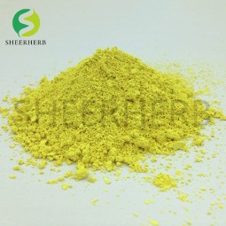 Quercetin Powder Factory - High Quality Extract