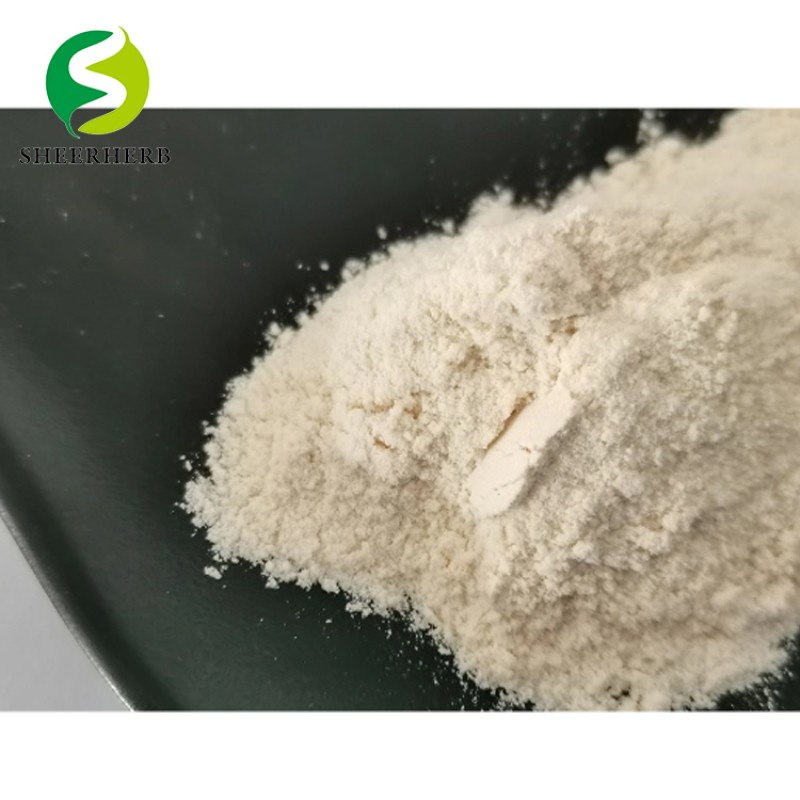 Wheat Germ Extract Supplier - 1% Spermidine Powder