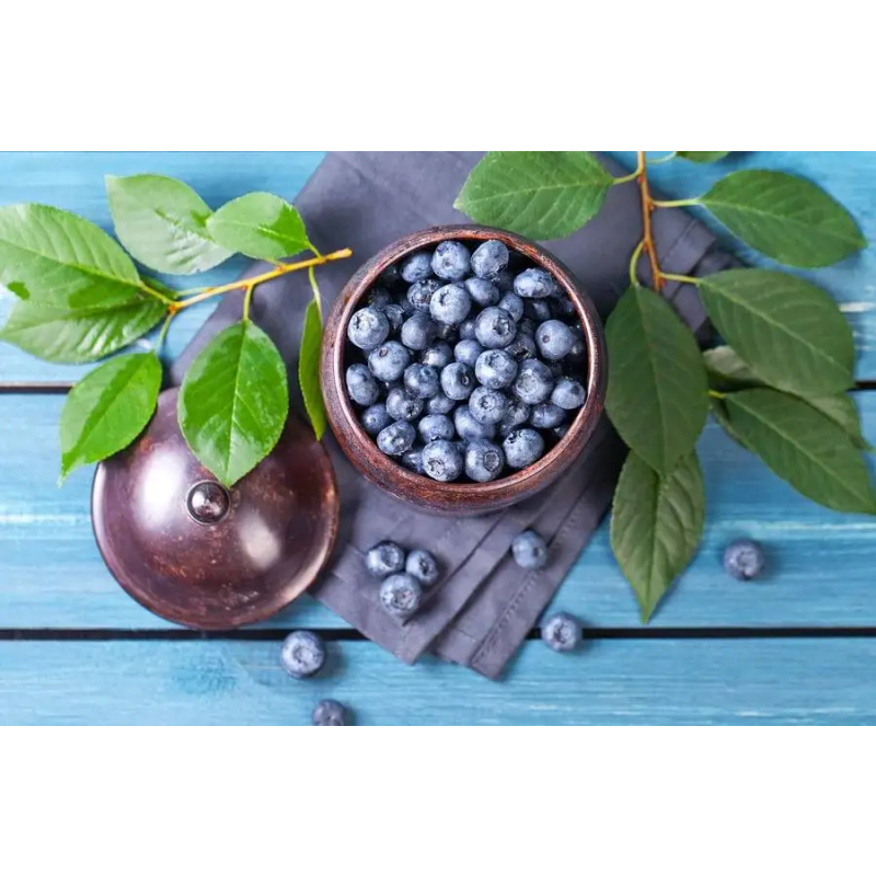 Blueberry Powder Supplier - Organic Freeze-dried Fruit