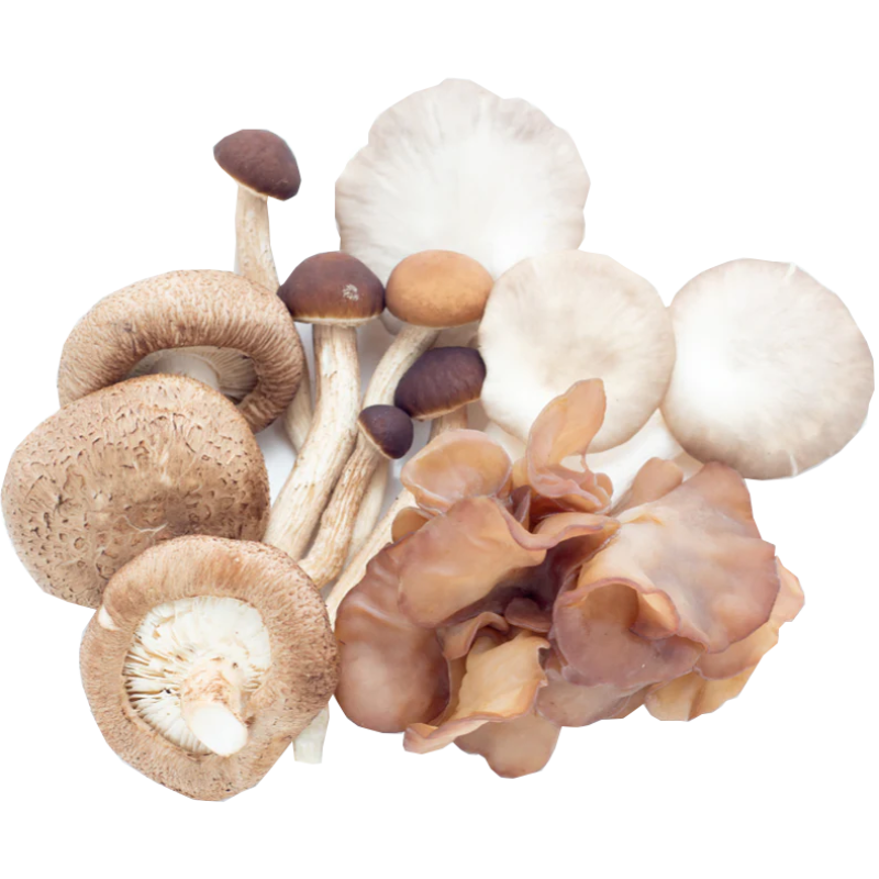 Instant Coffee Powder Manufacturer - Private Label Blend