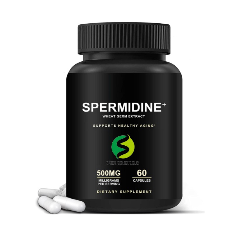 Wheat Germ Extract Supplier - 1% Spermidine Powder