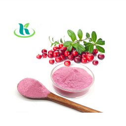 Cranberry Powder Supplier - Organic Water Soluble Extract