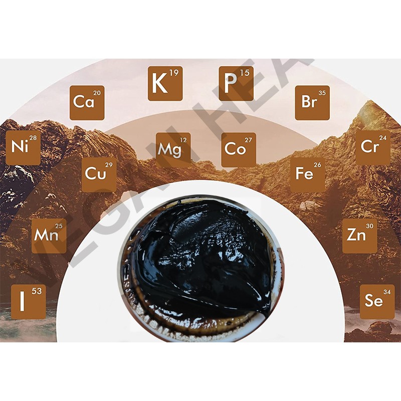 Organic Shilajit Manufacturer - Himalayan Resin Pure