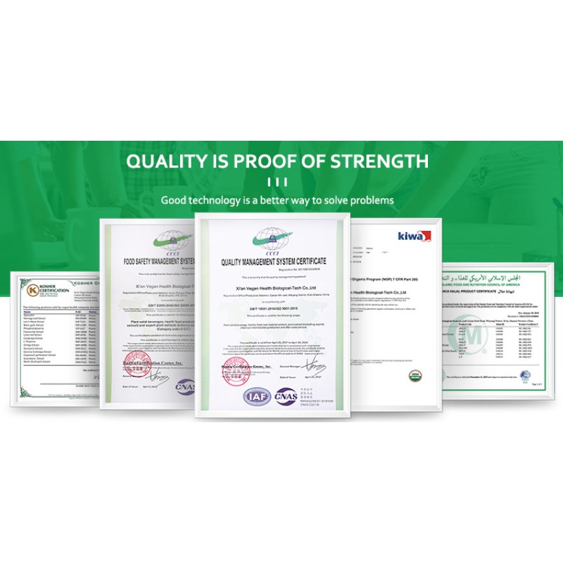 Freeze-dried Mango Powder Factory - High Quality Natural