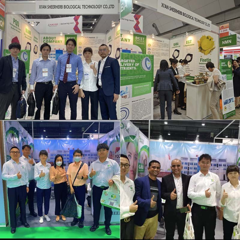 Dog Probiotic Powder Supplier - 20 Billion CFU Freeze Dried