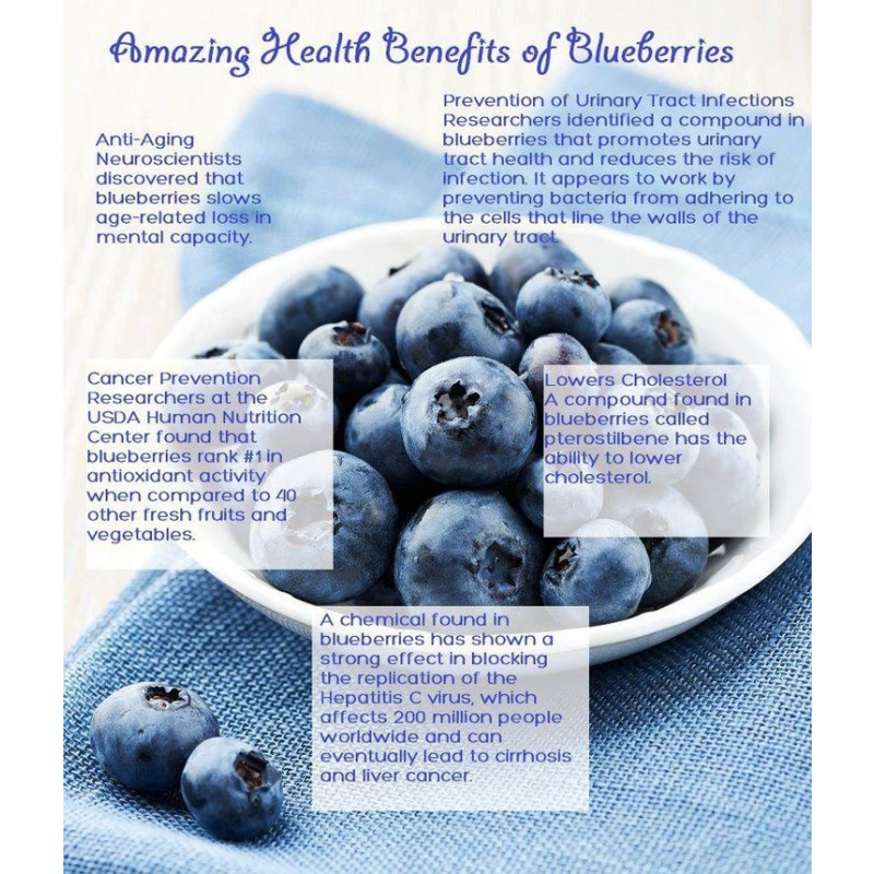 Blueberry Powder Supplier - Organic Freeze-dried Fruit