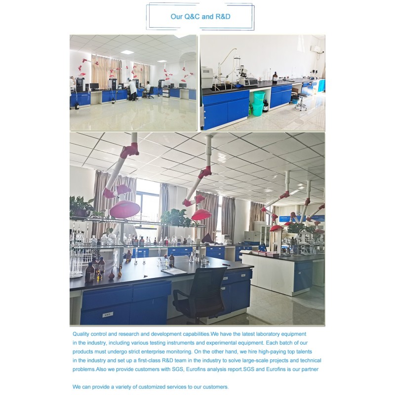 Liposomal Nicotinamide Riboside Factory - 99% Bulk NR NMN