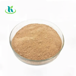 Dog Probiotic Powder Supplier - 20 Billion CFU Freeze Dried