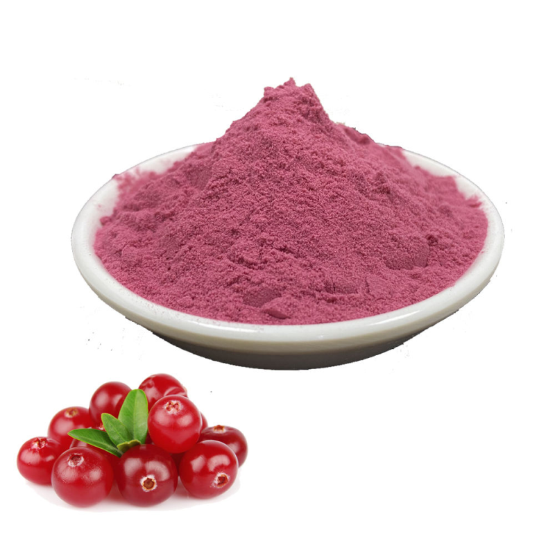 Cranberry Powder Supplier - Organic Water Soluble Extract
