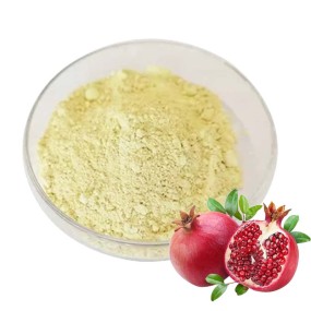 Urolithin A Powder Factory - 98% Pomegranate Extract