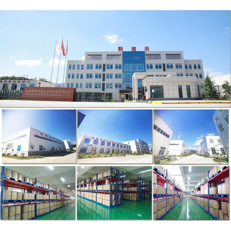 Vitamin B6 Tablet Supplier - OEM Customized Health