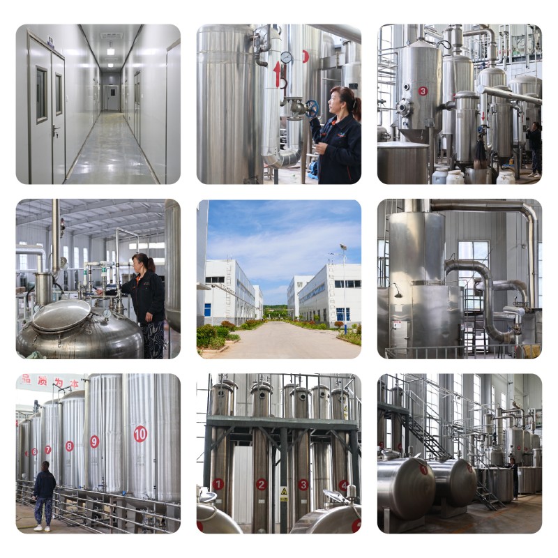 Tongkat Ali Extract Manufacturer - 1% 2% 3% Eurycomanone