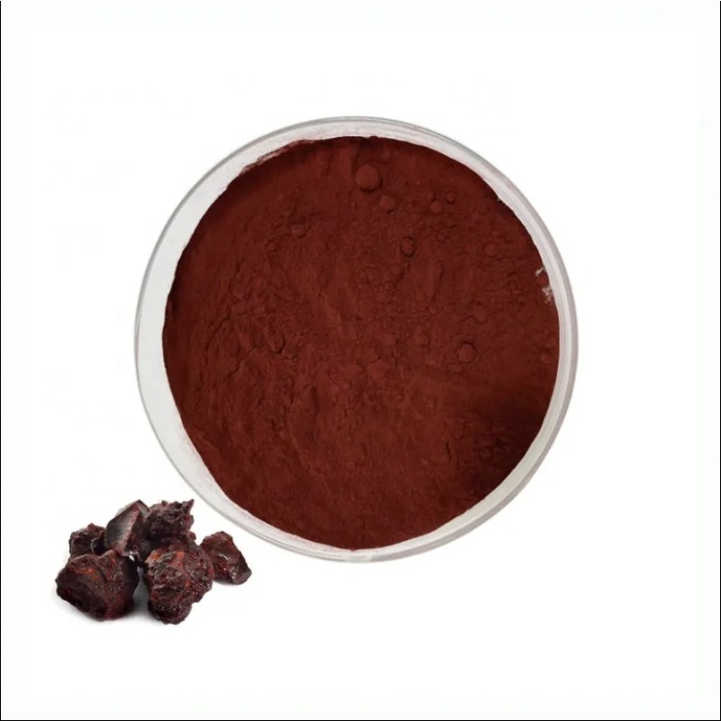 Dragon Blood Extract Factory - Premium Herbal Resin