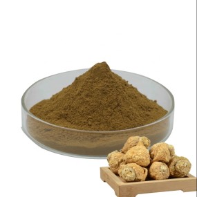 Maca Extract Powder Supplier - 10:1 ISO Certified Organic