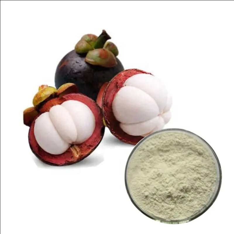 Mangosteen Extract Supplier - 40% Peel Natural