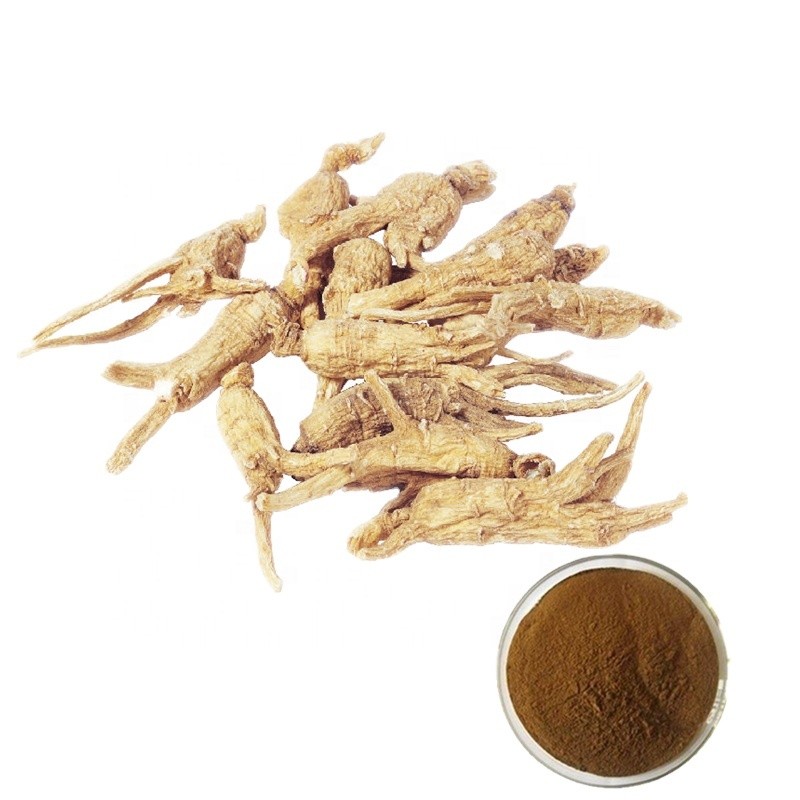 Angelica Root Extract Factory - Sinensis Plant Powder