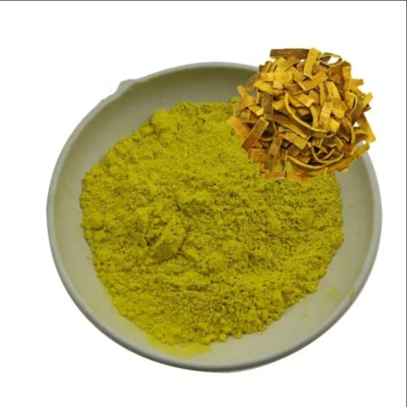 Phellodendri Extract Supplier - 98% High Purity