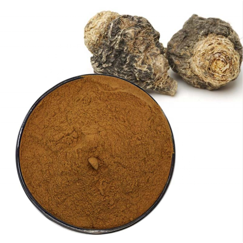 Maca Extract Powder Supplier - 10:1 ISO Certified Organic
