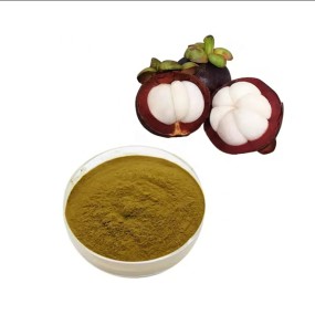 Mangosteen Extract Supplier - 40% Peel Natural