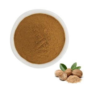 Nutmeg Extract Factory - Myristicin High Purity