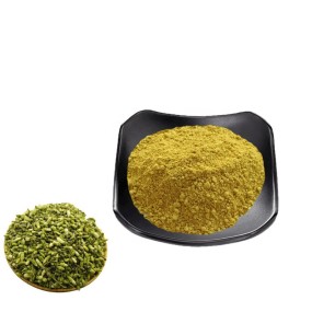 Quercetin Powder Supplier - 95%-98% Sophora Extract