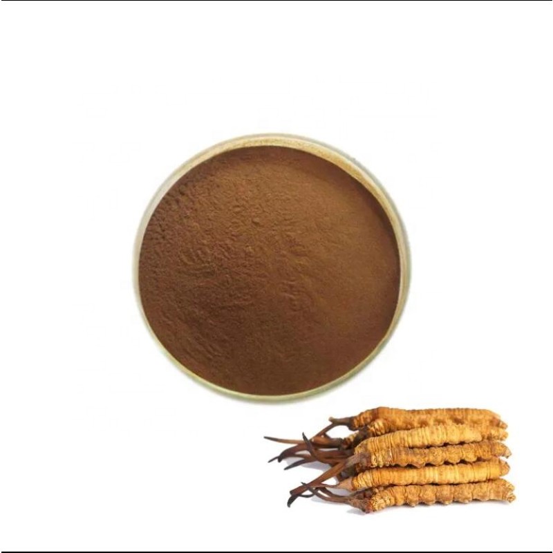 Cordyceps Powder Manufacturer - Natural Fermented Mycelium