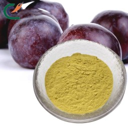 Plum Extract Powder Supplier - Dark Prunus Mume