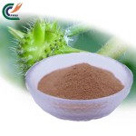 Tribulus terrestris extract
