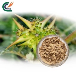 Tribulus Extract Supplier - Gokhru Powder Superior
