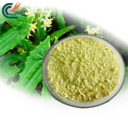Epimedium Powder Manufacturer - Brevicornum Extract
