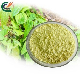 Red Ginseng Powder Supplier - Traditional Organic